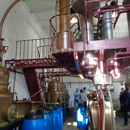 Chambres D'Hotes De L'Ile Du Saule Saumur Zewnętrze zdjęcie