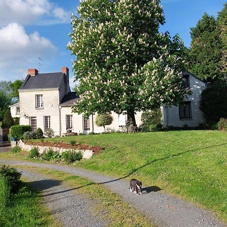 Chambres D'Hotes De L'Ile Du Saule Saumur Zewnętrze zdjęcie