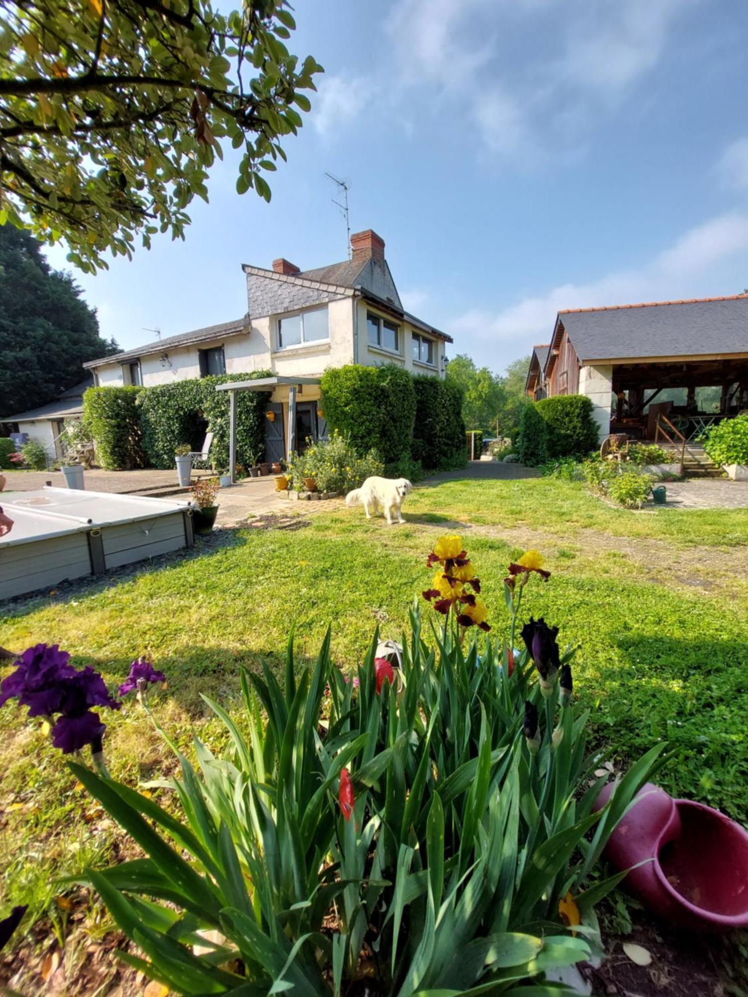 Chambres D'Hotes De L'Ile Du Saule Saumur Zewnętrze zdjęcie
